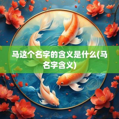 马这个名字的含义是什么(马名字含义)