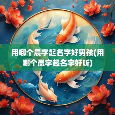 用哪个晨字起名字好男孩(用哪个晨字起名字好听)