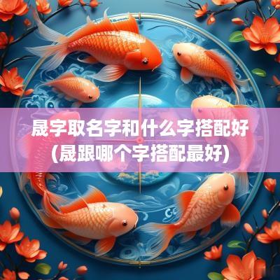 晟字取名字和什么字搭配好(晟跟哪个字搭配最好)