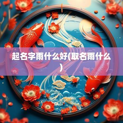 起名字雨什么好(取名雨什么)
