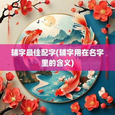 辅字最佳配字(辅字用在名字里的含义)