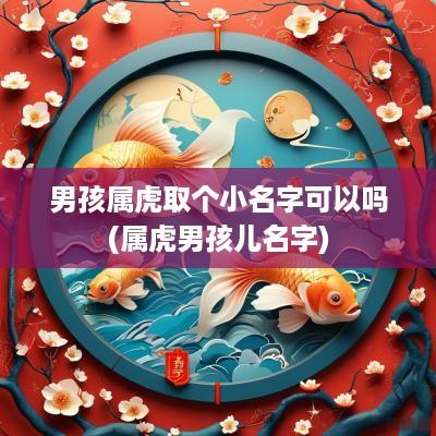 男孩属虎取个小名字可以吗(属虎男孩儿名字)