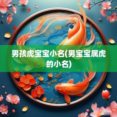 男孩虎宝宝小名(男宝宝属虎的小名)
