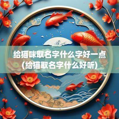 给猫咪取名字什么字好一点(给猫取名字什么好听)
