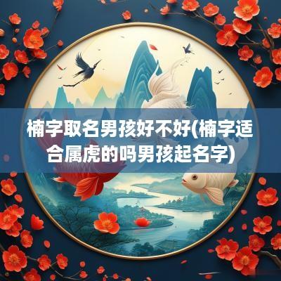 楠字取名男孩好不好(楠字适合属虎的吗男孩起名字)