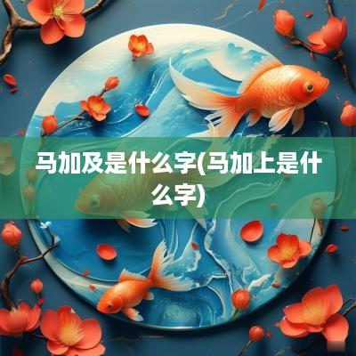 马加及是什么字(马加上是什么字)