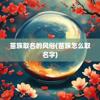 苗族取名的风俗(苗族怎么取名字)