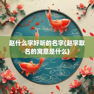 赵什么字好听的名字(赵字取名的寓意是什么)