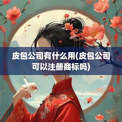 皮包公司有什么用(皮包公司可以注册商标吗)