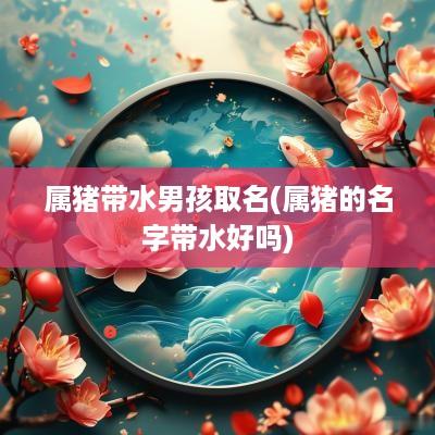 属猪带水男孩取名(属猪的名字带水好吗)