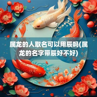 属龙的人取名可以用辰吗(属龙的名字带辰好不好)