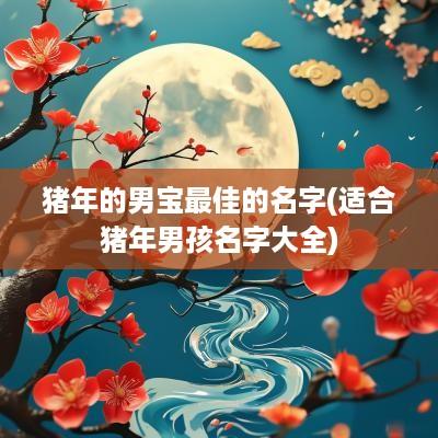 猪年的男宝最佳的名字(适合猪年男孩名字大全)