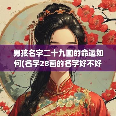 男孩名字二十九画的命运如何(名字28画的名字好不好)