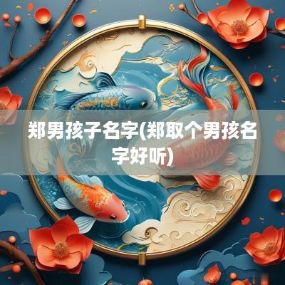 郑男孩子名字(郑取个男孩名字好听)