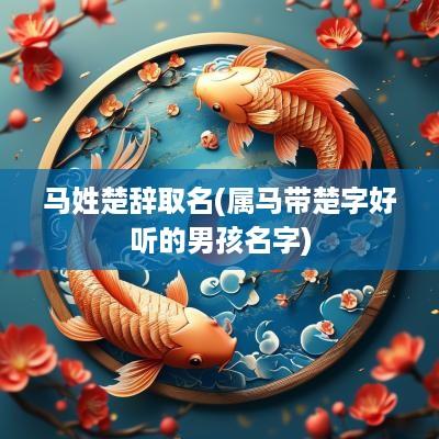 马姓楚辞取名(属马带楚字好听的男孩名字)