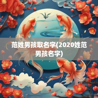 范姓男孩取名字(2025姓范男孩名字)
