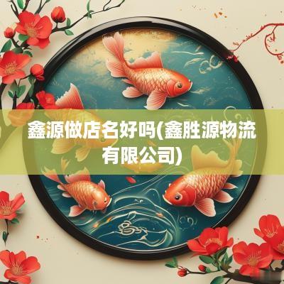 鑫源做店名好吗(鑫胜源物流有限公司)