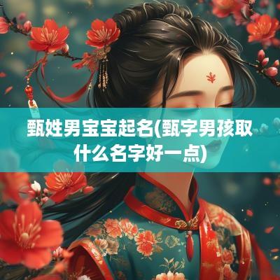甄姓男宝宝起名(甄字男孩取什么名字好一点)