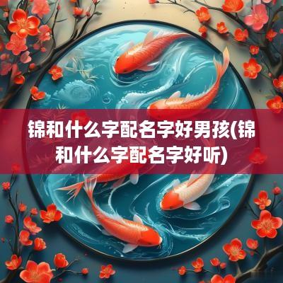 锦和什么字配名字好男孩(锦和什么字配名字好听)