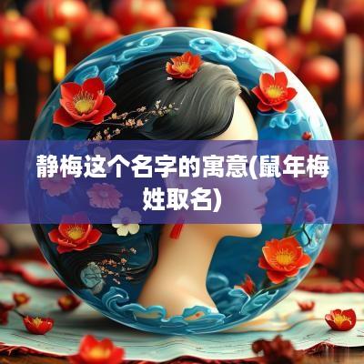 静梅这个名字的寓意(蛇年梅姓取名)