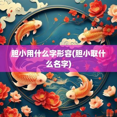 胆小用什么字形容(胆小取什么名字)