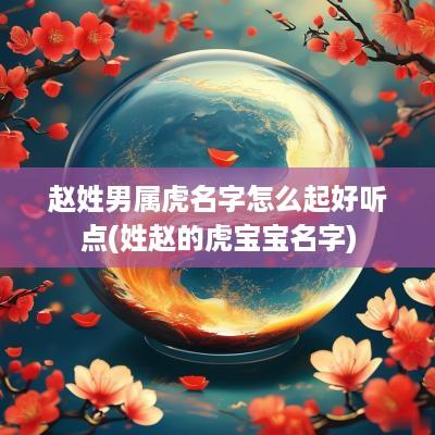 赵姓男属虎名字怎么起好听点(姓赵的虎宝宝名字)