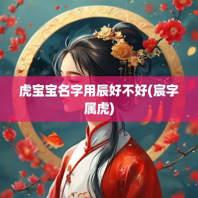 虎宝宝名字用辰好不好(宸字属虎)