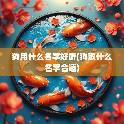 狗用什么名字好听(狗取什么名字合适)
