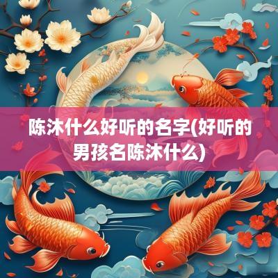 陈沐什么好听的名字(好听的男孩名陈沐什么)