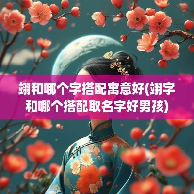 翊和哪个字搭配寓意好(翊字和哪个搭配取名字好男孩)