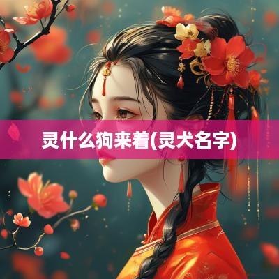灵什么狗来着(灵犬名字)