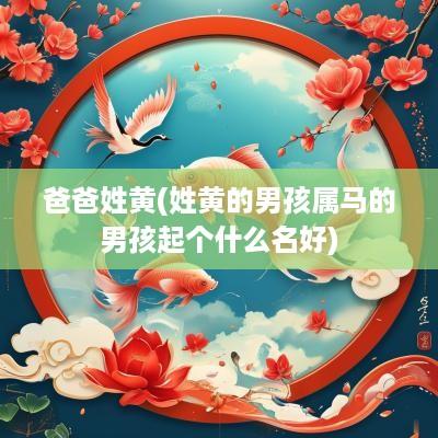 爸爸姓黄(姓黄的男孩属马的男孩起个什么名好)