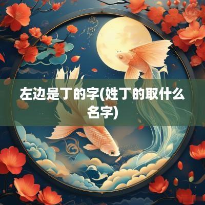 左边是丁的字(姓丁的取什么名字)