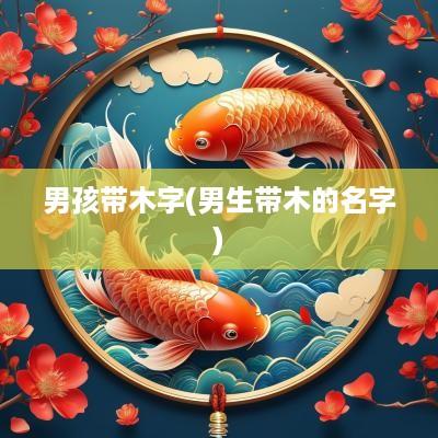 男孩带木字(男生带木的名字)