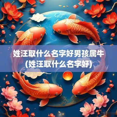 姓汪取什么名字好男孩属牛(姓汪取什么名字好)
