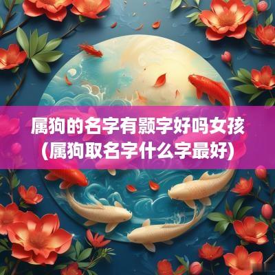 属狗的名字有颢字好吗女孩(属狗取名字什么字最好)