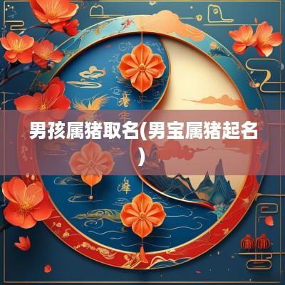 男孩属猪取名(男宝属猪起名)