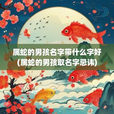 属蛇的男孩名字带什么字好(属蛇的男孩取名字忌讳)