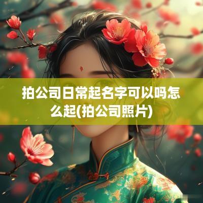拍公司日常起名字可以吗怎么起(拍公司照片)