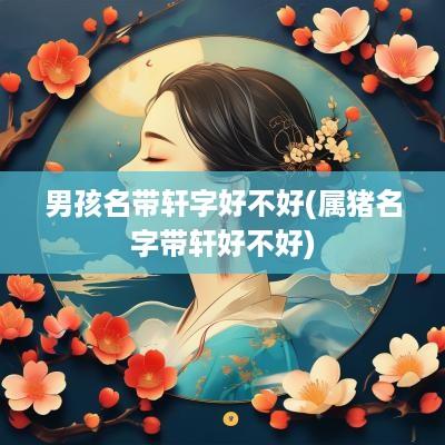 男孩名带轩字好不好(属猪名字带轩好不好)