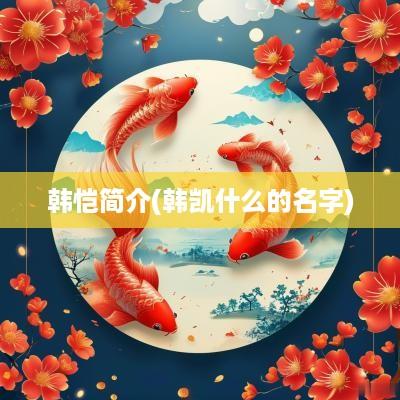 韩恺简介(韩凯什么的名字)