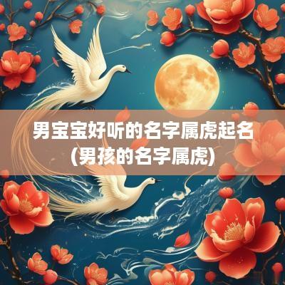 男宝宝好听的名字属虎起名(男孩的名字属虎)