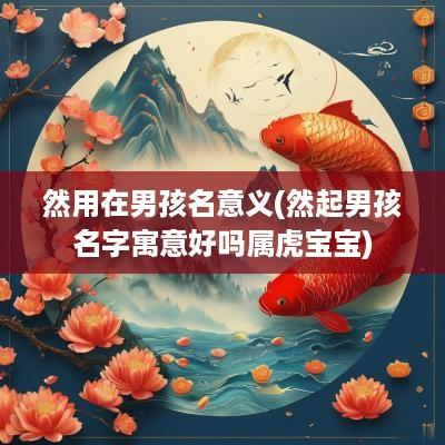 然用在男孩名意义(然起男孩名字寓意好吗属虎宝宝)