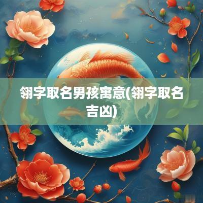 翎字取名男孩寓意(翎字取名吉凶)