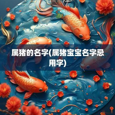 属猪的名字(属猪宝宝名字忌用字)