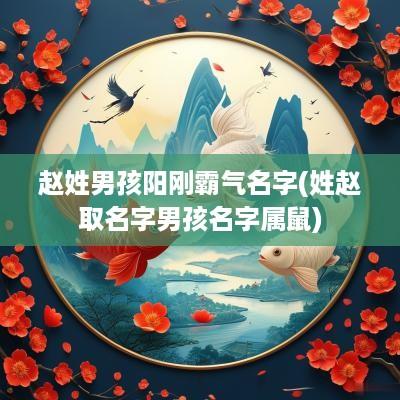 赵姓男孩阳刚霸气名字(姓赵取名字男孩名字属鼠)