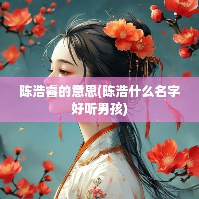 陈浩睿的意思(陈浩什么名字好听男孩)