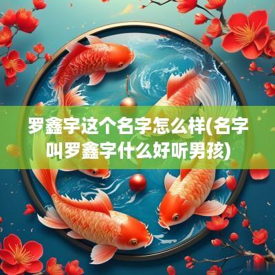 罗鑫宇这个名字怎么样(名字叫罗鑫字什么好听男孩)