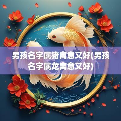 男孩名字属猪寓意又好(男孩名字属龙寓意又好)