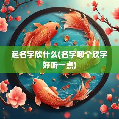 起名字欣什么(名字哪个欣字好听一点)